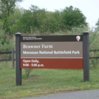 Brauner Farm--2nd Manassas, V
