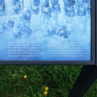 1 in 3 men were casualties