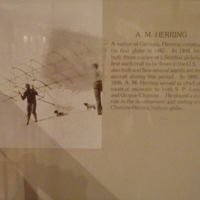Herring Glider