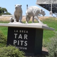 La Brea Tar Pits