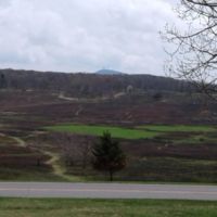 The meadow has springs & seeps, provides habitat for plants, animals, & people.