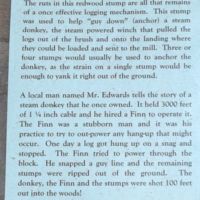 Stump helped anchor a steam donkey (winch that pulled logs out of the brush)