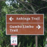 Guided walk on Anhinga Trail