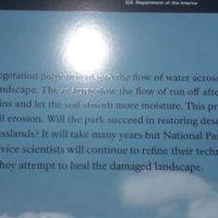 Planting native grasses to reduce runoff