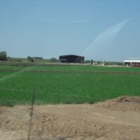 Irrigated field
