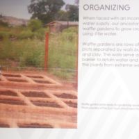 Waffle gardens retain water