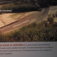 Aftermath of invasive plants and reduced waterflow