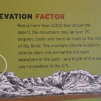 The elevation factor