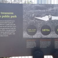 1885--Discovered saber-toothed tiger fossil