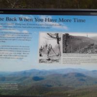 Twists & turns (& 35 mph speed limit) designed to show off grand vistas and green tunnels of trees.