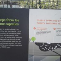 There were multiple seeps at different times