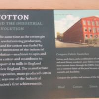 Mechanization of cotton in north and south