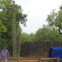 Bob with Texas-sized cactus