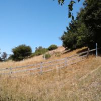 Blue posts mark active San Andreas fault