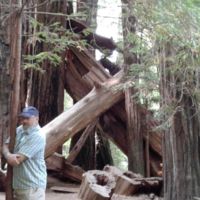 Bob got his arms around this one