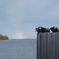 waiting for the ferry