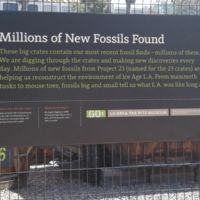 They got 23 crates for the parking lot to be, are processing 1 per yr