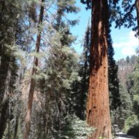 See the equipment on the road on right