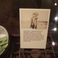 Camp cook/driver with one of Ford's movie cameras.