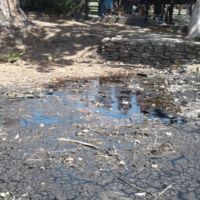 A seep with water, on museum grounds