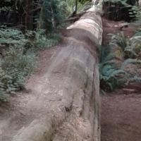 Moving closer, can actually see Bob