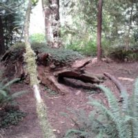 Man-eating jungle beast