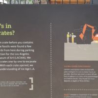 The fossils were found during parking lot construction