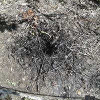 A small seep on the grounds.