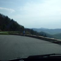 Sally's just walking to another vantage point.