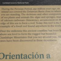 SAMSUNG DIGITAL CAMERA