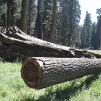 There's Bob on the left