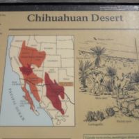 SAMSUNG DIGITAL CAMERA