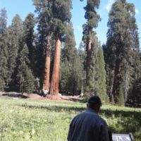 Bob pushing John around