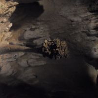 Lions Tail stalactite and popcorn