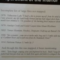 "the grandeur of the burning forest"