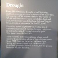 Little snow, rain, humidity--depleted ground moisture.