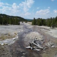 Brown streaks are algae/bacteria in the runoff