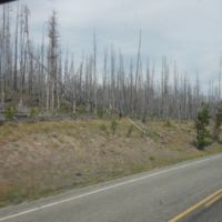 4:26pm--Start of 3-hour-long drive thru burnt forest