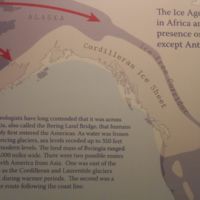 There were 2 migration routes from the Bering Strait