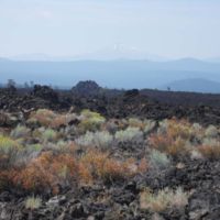 Mt. Bachelor in the background