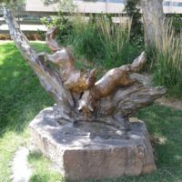 Foxes on the Bayou, by Sherry Sander