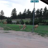 This is Joseph & Diane's neighborhood.