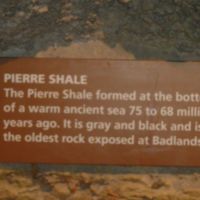 gray & black = oldest soil, ancient sea