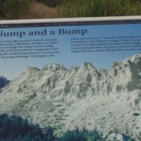 Soil compacted by massive stone sliding away from cliff, slowed drainage.