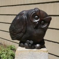 Opulent Owl, by Steve Kestrel