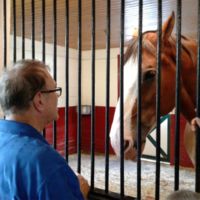 not sure whose hand that is but it could be the horse's lunch!