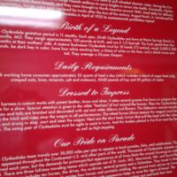 size, skill sets, parade teams